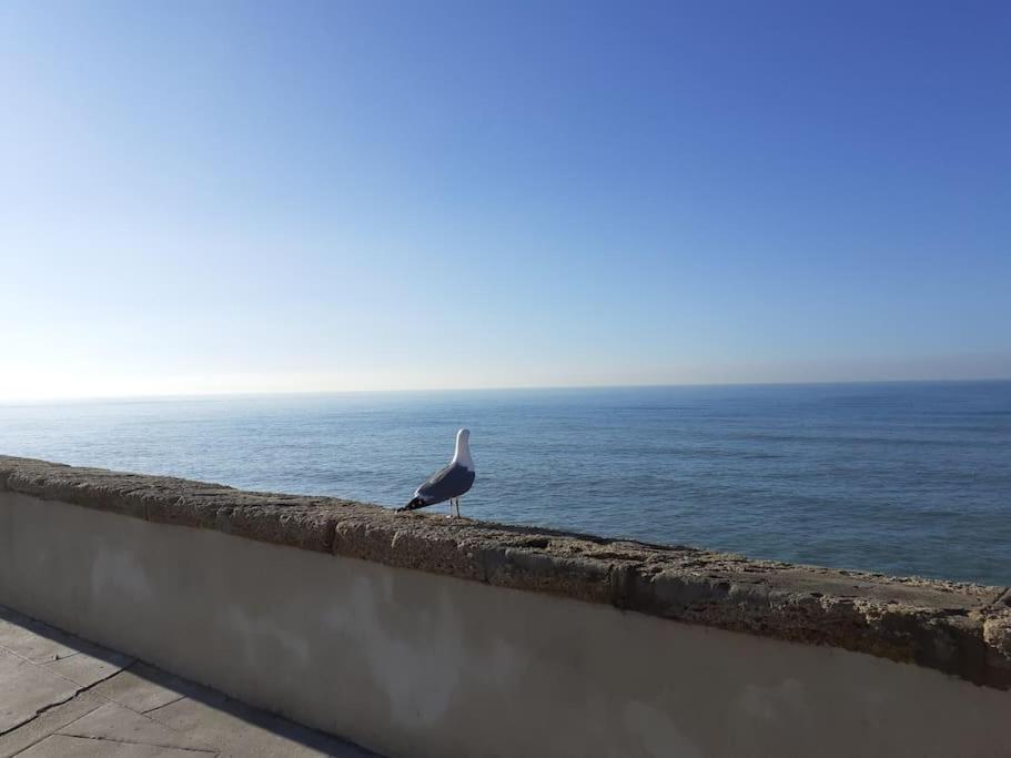 Mar Y Sol Apartment Cadiz Exterior photo